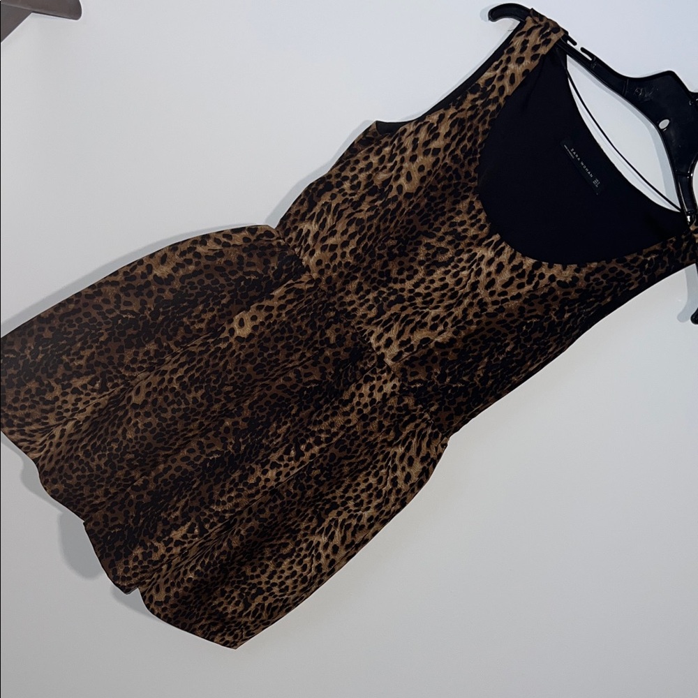 Zara Leopard Print Dress